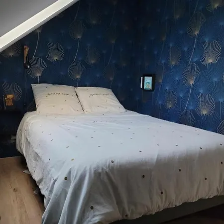 公寓 Petit Cocon A 100m De La